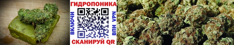 Canna-Cookies конопля  Кувандык 