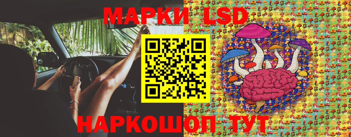 Кувандык  Марки NBOMe  Вход с VPN  Марки NBOMe 1500мкг 