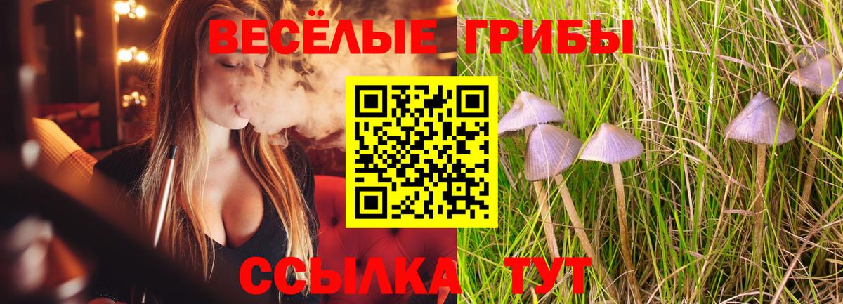 Галлюциногенные грибы Psilocybe  Галлюциногенные грибы Magic Shrooms  Вход с VPN  Кувандык 