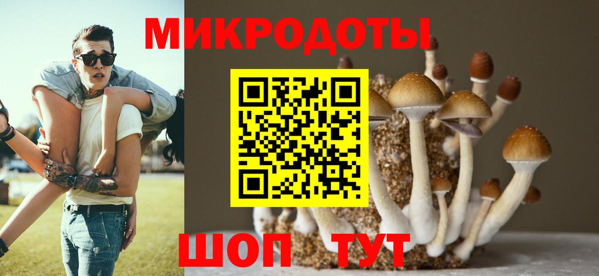 Галлюциногенные грибы ЛСД Кувандык